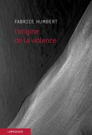 Couverture de « L'origine de la violence de Fabrice Humbert »