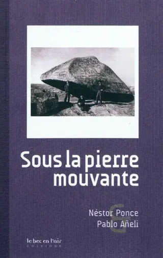 Couverture de « Sous la pierre mouvante de Néstor Ponce et Pablo Añeli »